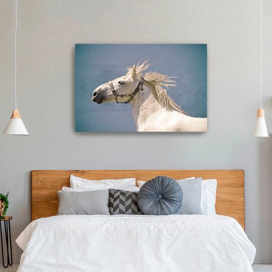 Scratch Canvas Giclee